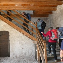 P1190627   Saliamo alla Camera delle Losanghe multicolori.